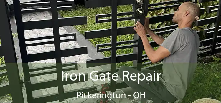  Iron Gate Repair Pickerington - OH