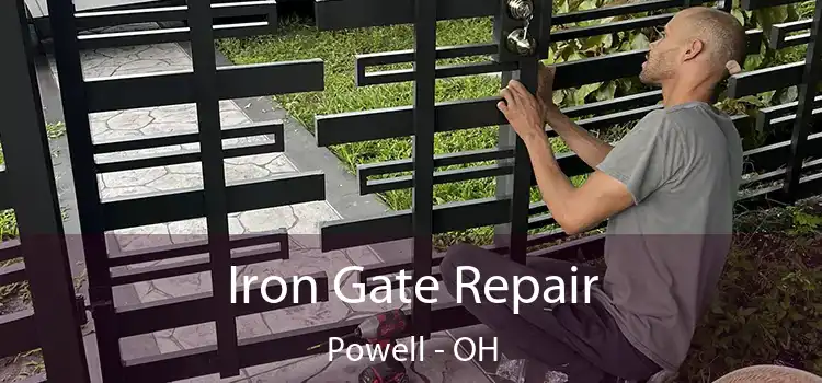  Iron Gate Repair Powell - OH