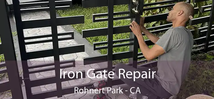  Iron Gate Repair Rohnert Park - CA