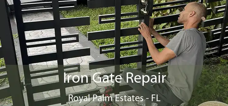  Iron Gate Repair Royal Palm Estates - FL