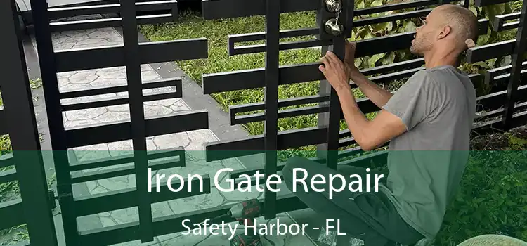  Iron Gate Repair Safety Harbor - FL