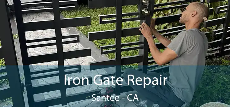  Iron Gate Repair Santee - CA