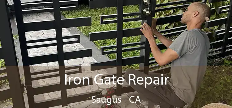  Iron Gate Repair Saugus - CA