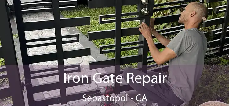  Iron Gate Repair Sebastopol - CA