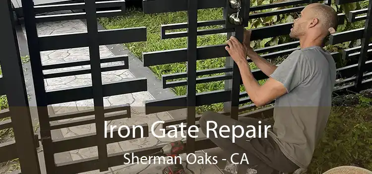  Iron Gate Repair Sherman Oaks - CA