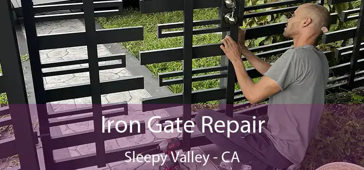  Iron Gate Repair Sleepy Valley - CA