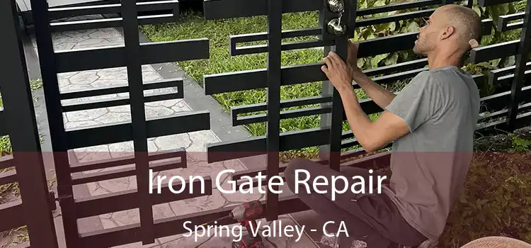  Iron Gate Repair Spring Valley - CA