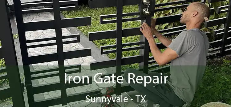  Iron Gate Repair Sunnyvale - TX