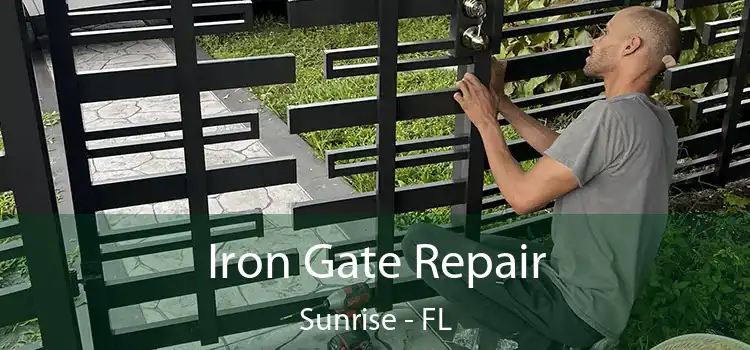  Iron Gate Repair Sunrise - FL