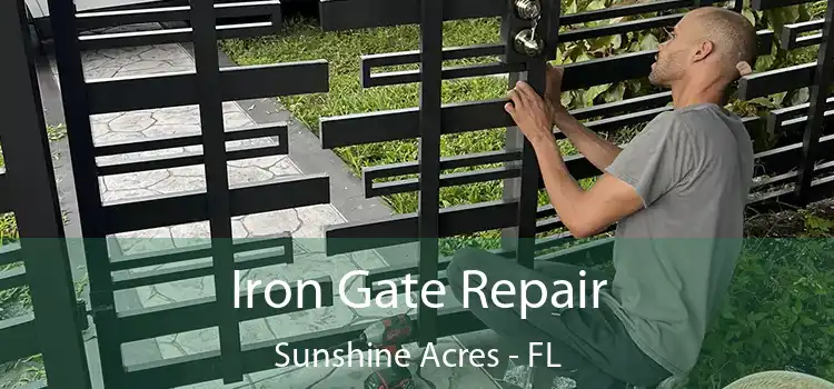  Iron Gate Repair Sunshine Acres - FL