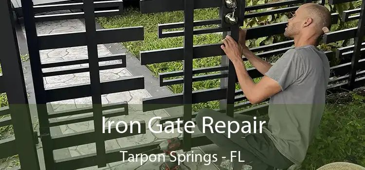  Iron Gate Repair Tarpon Springs - FL