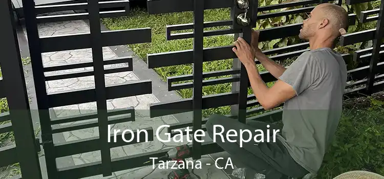  Iron Gate Repair Tarzana - CA