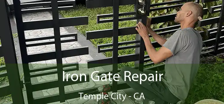  Iron Gate Repair Temple City - CA