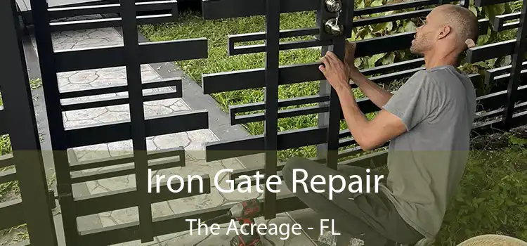  Iron Gate Repair The Acreage - FL