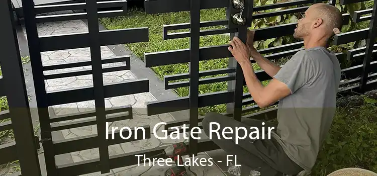  Iron Gate Repair Three Lakes - FL