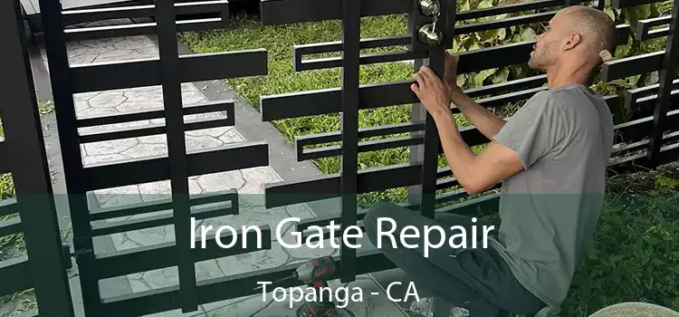  Iron Gate Repair Topanga - CA