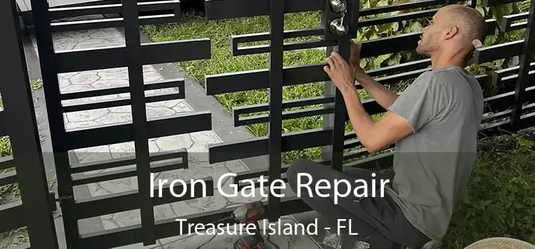  Iron Gate Repair Treasure Island - FL