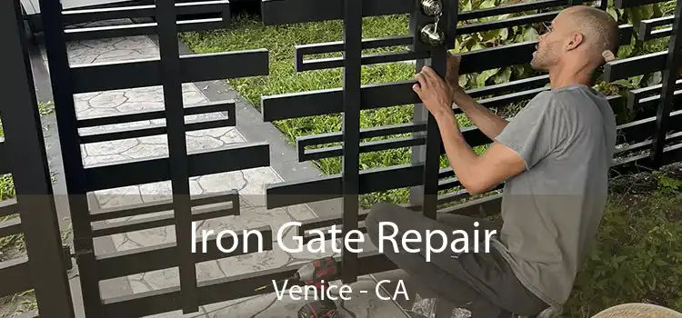  Iron Gate Repair Venice - CA