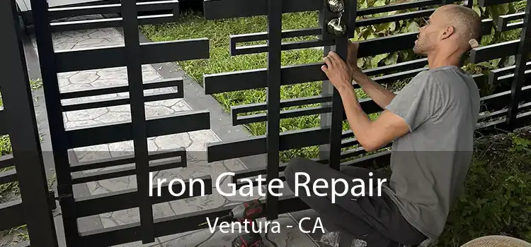  Iron Gate Repair Ventura - CA