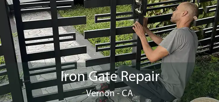  Iron Gate Repair Vernon - CA