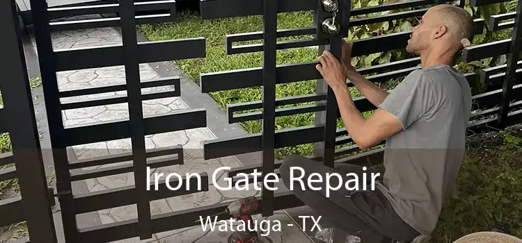  Iron Gate Repair Watauga - TX