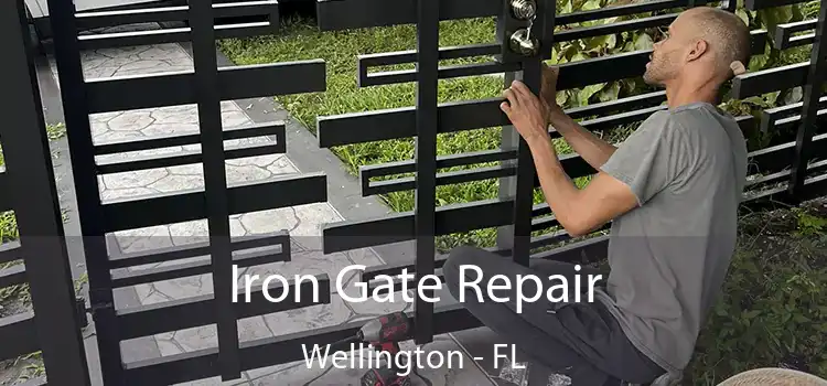  Iron Gate Repair Wellington - FL