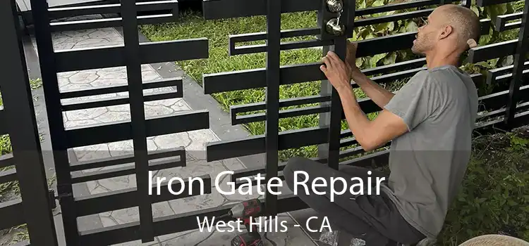  Iron Gate Repair West Hills - CA