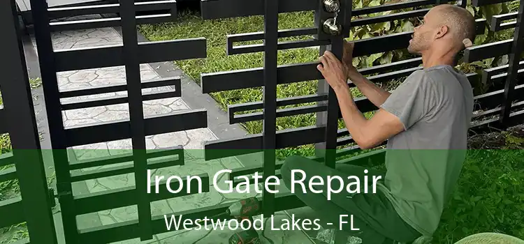  Iron Gate Repair Westwood Lakes - FL