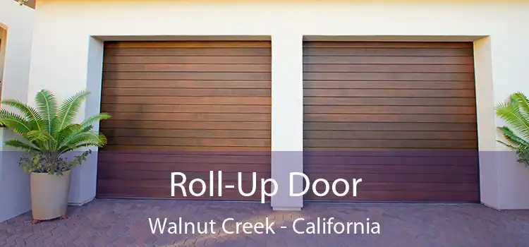 Roll-Up Door Walnut Creek - California