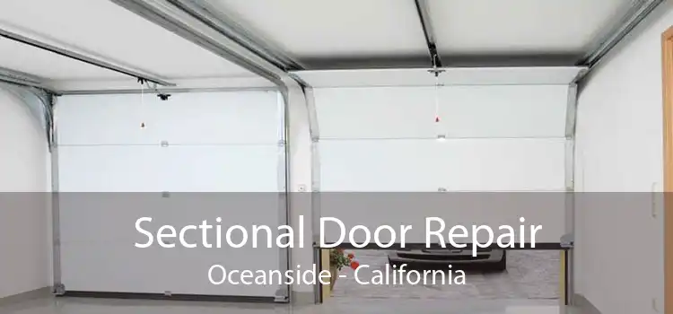 Sectional Door Repair Oceanside - California