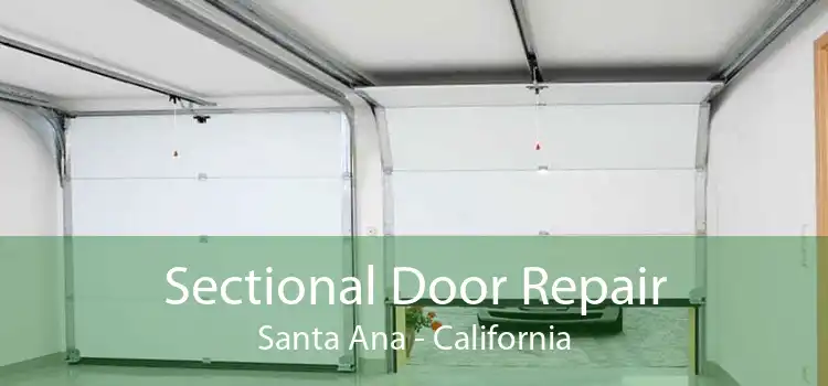 Sectional Door Repair Santa Ana - California