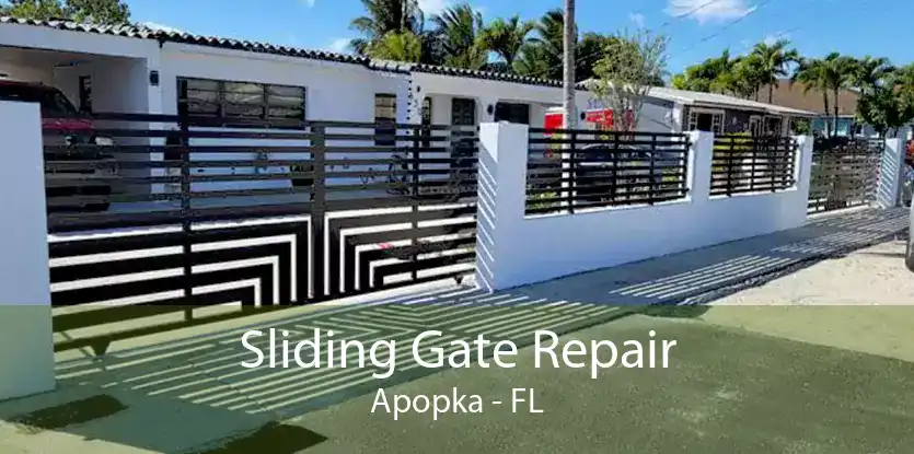 Sliding Gate Repair Apopka - FL