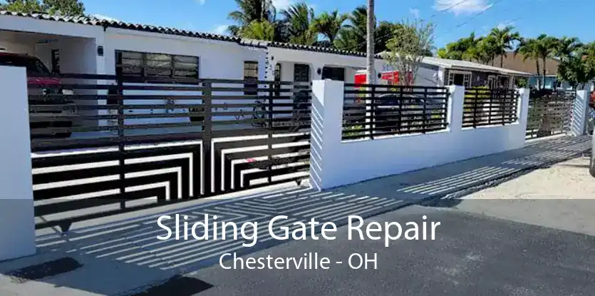 Sliding Gate Repair Chesterville - OH