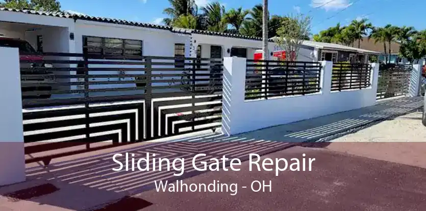 Sliding Gate Repair Walhonding - OH